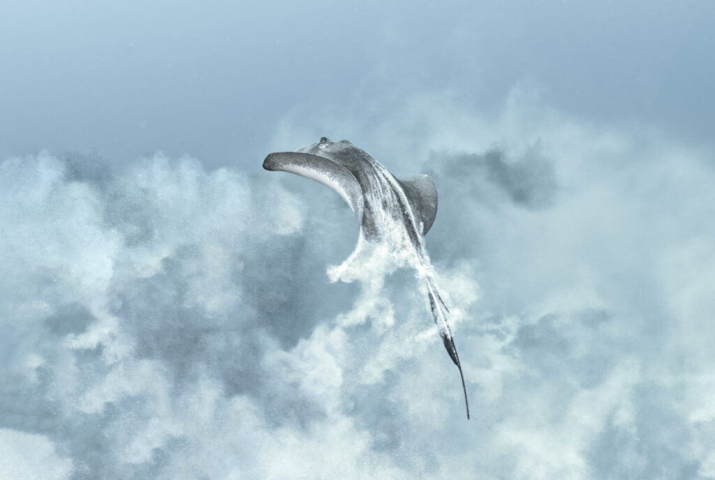 Ocean Photographer of the Year 2025: Οι φιναλίστ απαθανάτισαν τον ωκεανό όπως δεν τον έχετε ξαναδεί