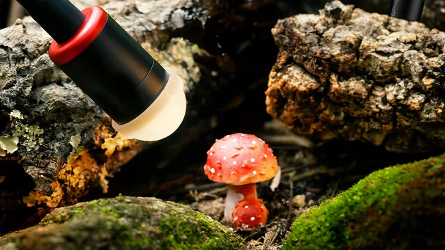 Η SmallRig παρουσίασε ένα νέο LED φως ειδικά για macro λήψεις