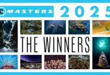 Οι εικόνες που ξεχώρισαν στην υποβρύχια φωτογραφία το 2025