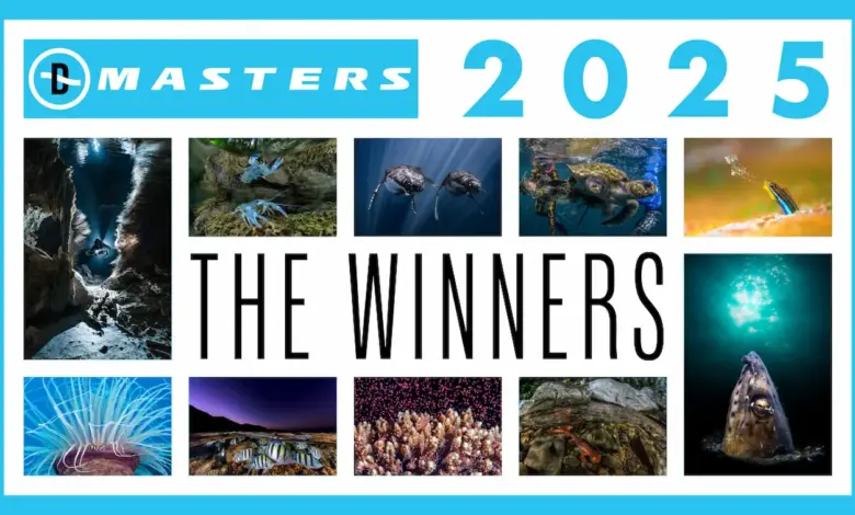 Οι εικόνες που ξεχώρισαν στην υποβρύχια φωτογραφία το 2025