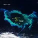 Δορυφορική εικόνα άνθισης φυτοπλαγκτού γύρω από τα Chatham Islands με πράσινες και γαλάζιες σπείρες στη θάλασσα