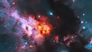 Βρεφικά άστρα σε περιοχές σχηματισμού άστρων όπως καταγράφηκαν από το διαστημικό τηλεσκόπιο Hubble