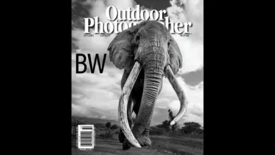 Ο Craig, ο θρυλικός «super tusker» ελέφαντας του Amboseli, σε ασπρόμαυρο πορτρέτο με τεράστιους χαυλιόδοντες.