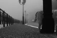 Η ομαδική έκθεση “The Spirit of the Time” παρουσιάζεται στη Galerie Desmos στο Παρίσι, 7–13 Φεβρουαρίου 2026.