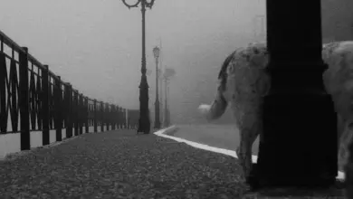 Η ομαδική έκθεση “The Spirit of the Time” παρουσιάζεται στη Galerie Desmos στο Παρίσι, 7–13 Φεβρουαρίου 2026.