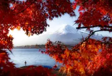 Shortlists Student και Youth Sony World Photography Awards 2026 με τα ονόματα των φωτογράφων