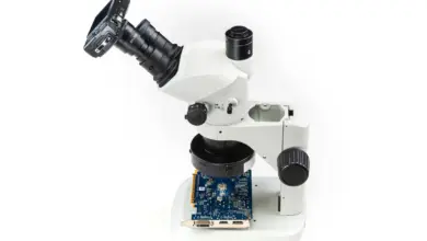 OM System TG-7 Industry προσαρμοσμένη σε στερεοσκοπικό μικροσκόπιο για εργαστηριακή απεικόνιση