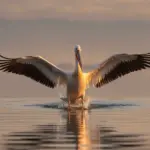 Μεγέθυνση σε λεπτομέρειες εικόνας για έλεγχο φωτισμού, υφής, κειμένου και άκρων που προδίδουν ΑΙ