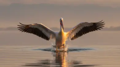 Μεγέθυνση σε λεπτομέρειες εικόνας για έλεγχο φωτισμού, υφής, κειμένου και άκρων που προδίδουν ΑΙ