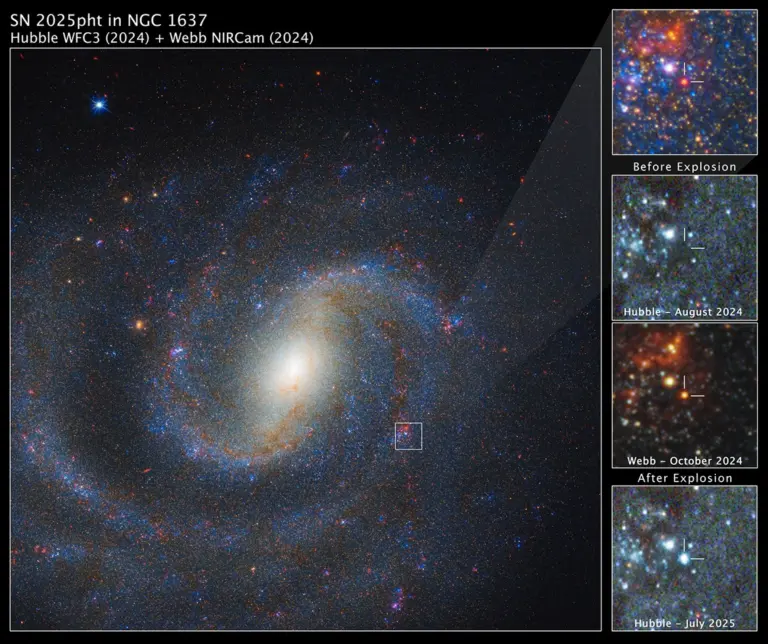 Σύνθετη εικόνα Webb και Hubble του NGC 1637 με ένθετα πριν και μετά την έκρηξη του SN 2025pht