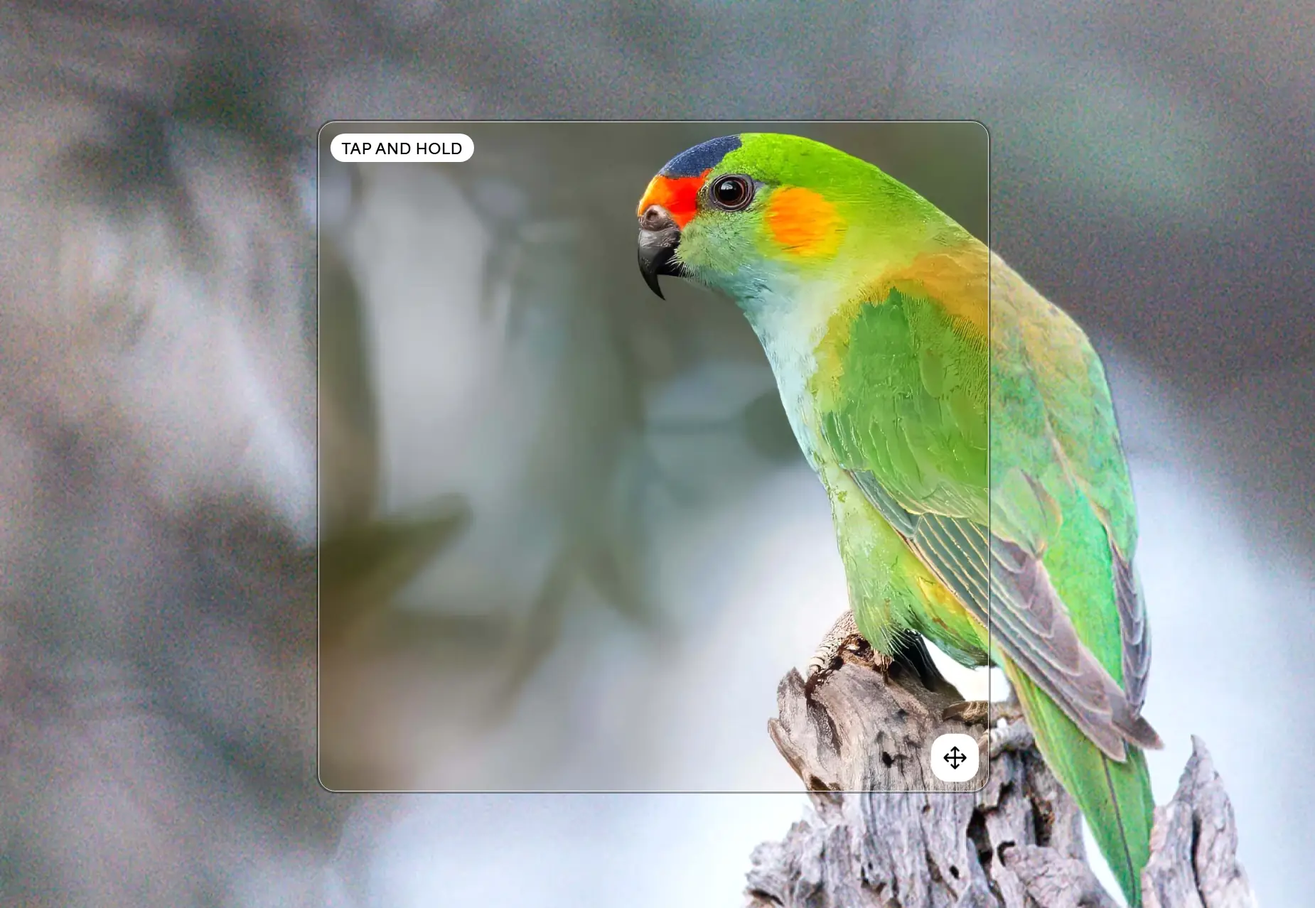 Topaz Photo AI