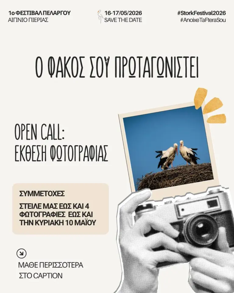 Έχεις φωτογραφίες με πελαργούς; Τώρα μπορούν να μπουν σε έκθεση