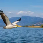 Φωτογραφία πτηνού που έχει υποστεί επεξεργασία με τεχνητή νοημοσύνη και σχετίζεται με την αξιοπιστία επιστημονικών δεδομένων.