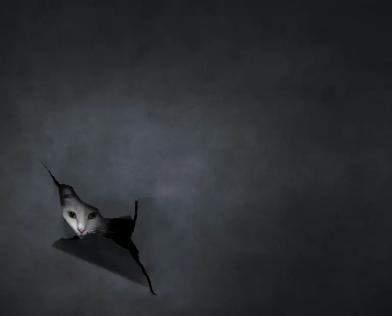 Φιναλίστ των International Pet Photography Awards 2026