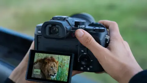 Sony RX10 V: η all-in-one κάμερα που επιστρέφει για wildlife και σπορ