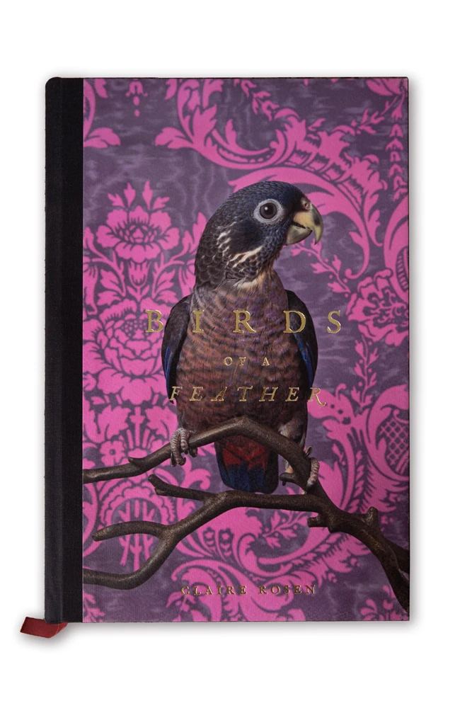«Birds of a Feather» — Claire Rosen, Book Photographer Of the Year στα IPA 2026