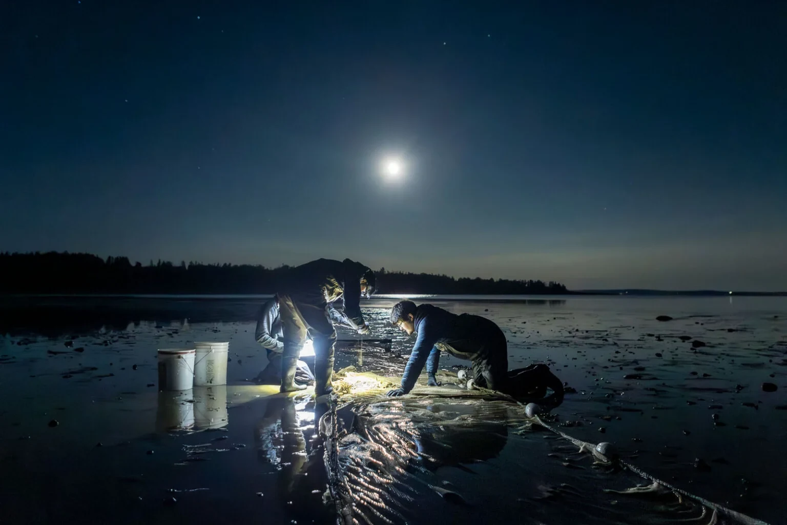 Students kneel on a wet shoreline at night and sort the catch from a beach seine.