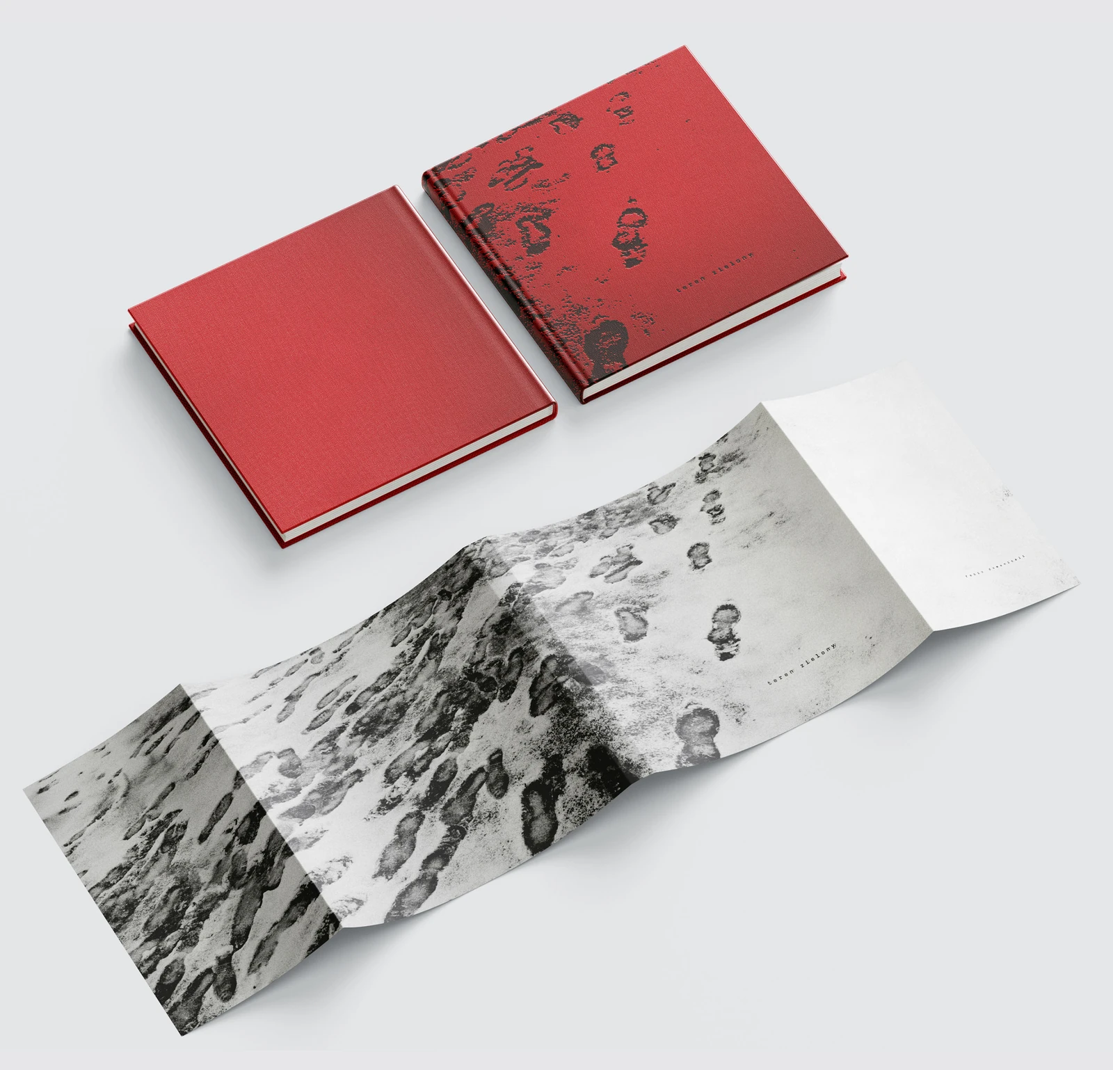 «TEREN ZIELONY» — Fabio Domenicali, Book Photographer Of the Year στα IPA 2026