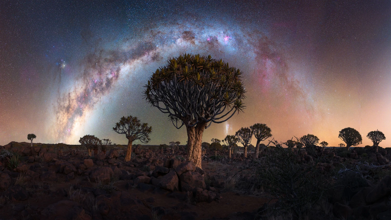 «Forest of Stars» – Marcin Zajac, 3η θέση στην κατηγορία Nightscapes