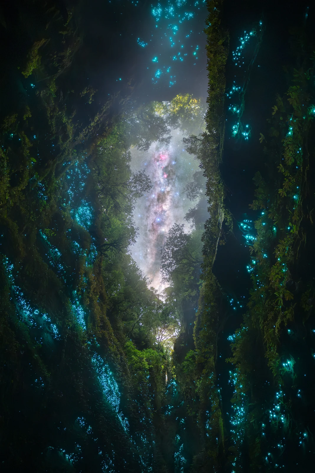«The Chasm» – Tom Rae, 1η θέση στην κατηγορία Creatures of the Night