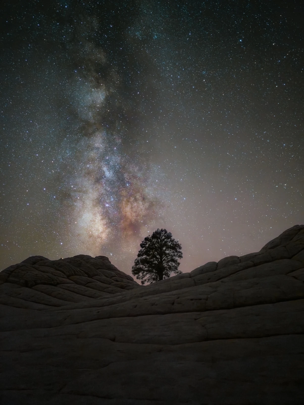 «Milky Way in White Pocket of Vermillion Cliffs National Monument» – Katrina Brown, 2η θέση στην κατηγορία Mobile Nighttime Photography