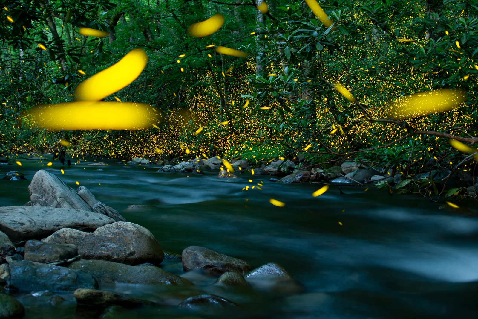 «River of Light» – Norah Swann, 1η θέση στην κατηγορία Young Astrophotographers
