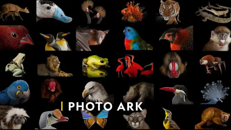 Ο Joel Sartore φωτογράφισε 18.000 είδη ζώων και δεν σταματά