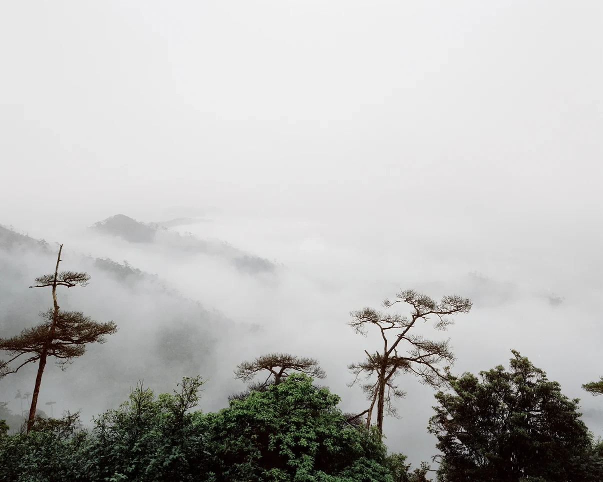 Misty Japanese landscape photographed by Giada Ripa