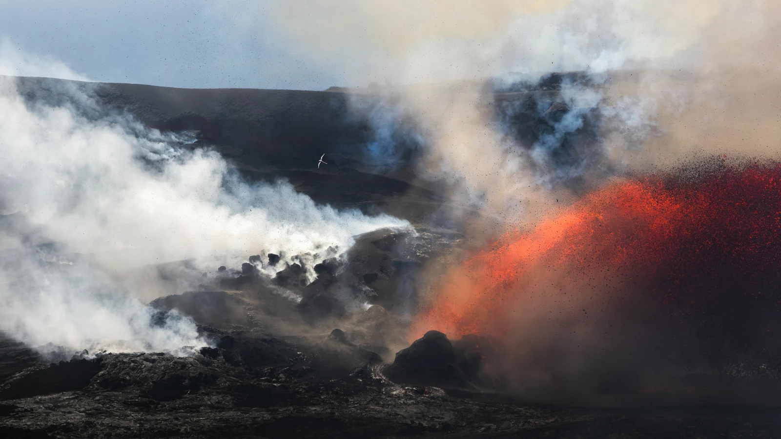 White-tailed Tropicbird πετά πάνω από την ενεργή καλντέρα του Kīlauea