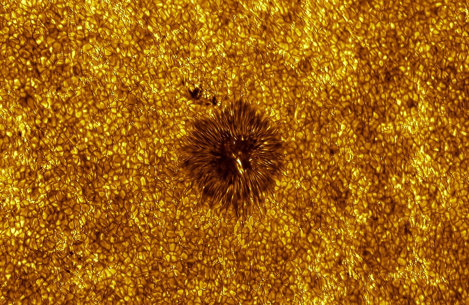 Active Region 4122 του/της Miguel Claro, Winner, Astronomy Photographer of the Year 2026