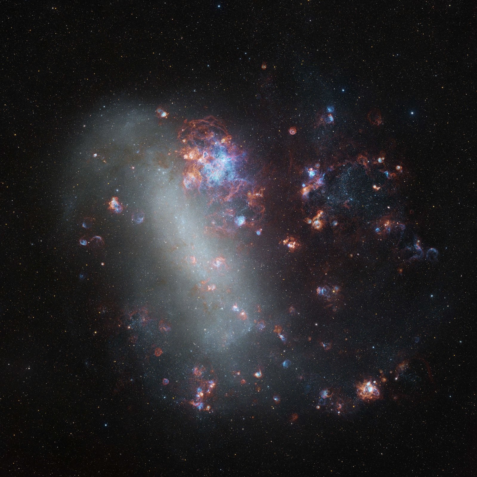 Wildflowers Across a Neighbouring Galaxy: The Large Magellanic Cloud του/της Shaoyu Zhang, Highly Commended, Astronomy Photographer of the Year 2026