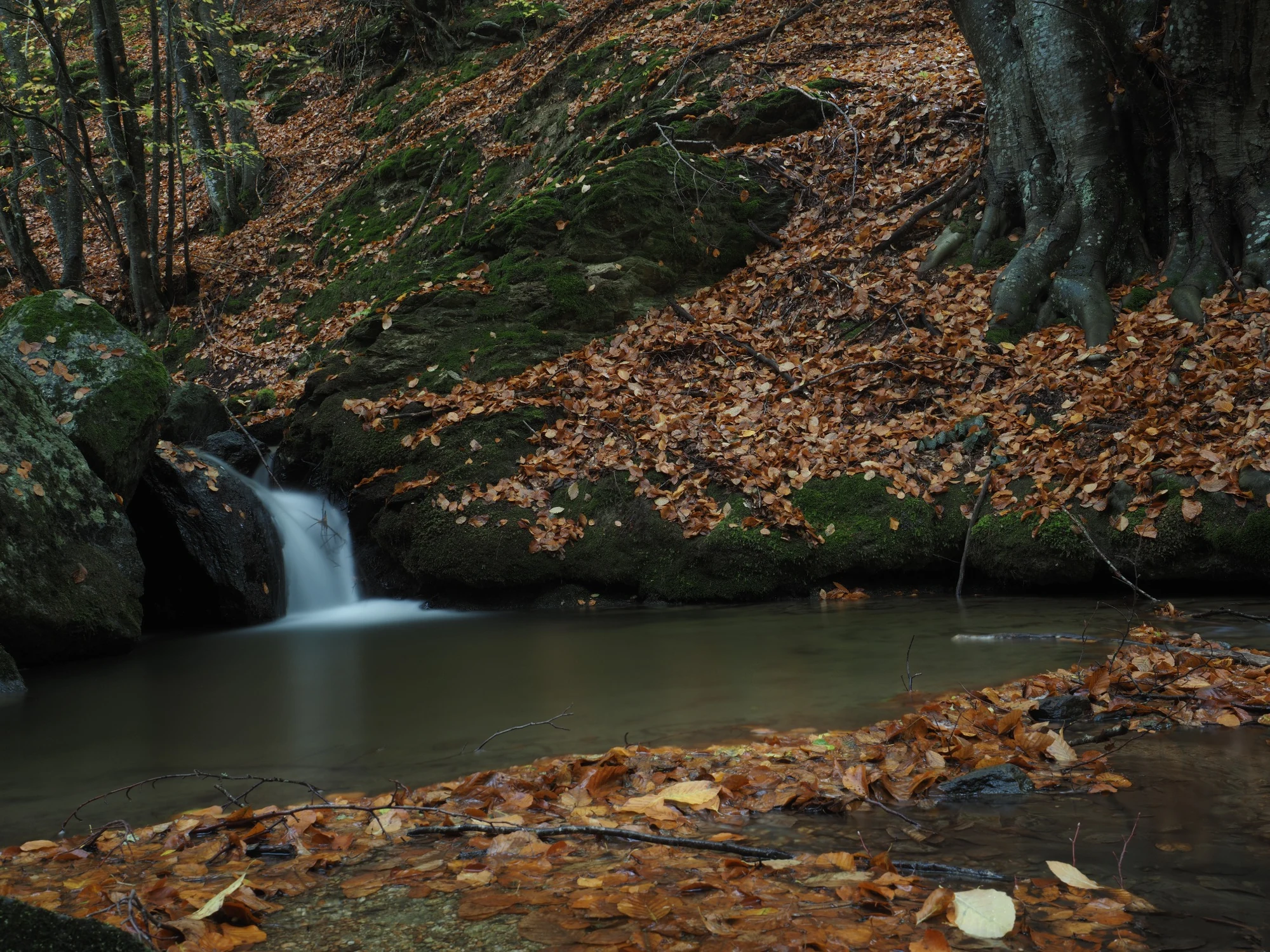 Small waterfall in autumn woodland with fallen leaves