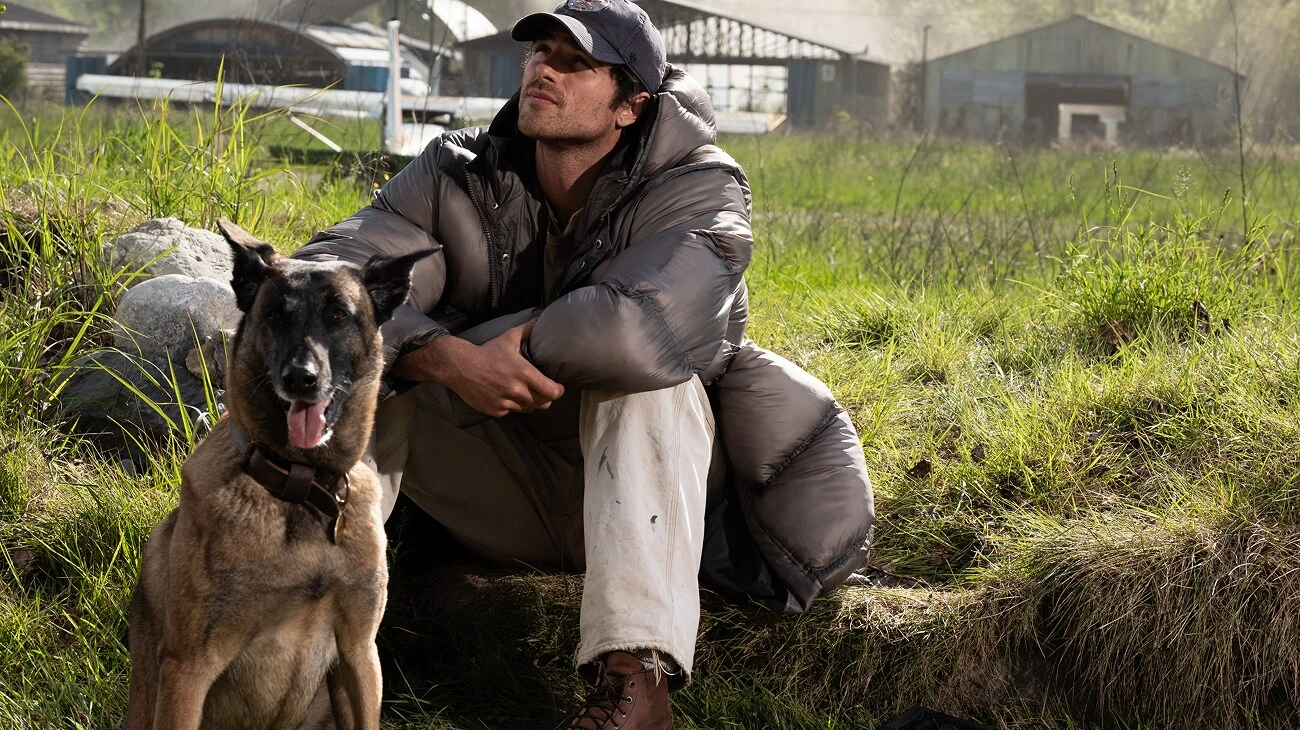 Ο σκύλος Jasper και ο Jacob Elordi ως Hig δίπλα σε αεροπλάνο στο The Dog Stars