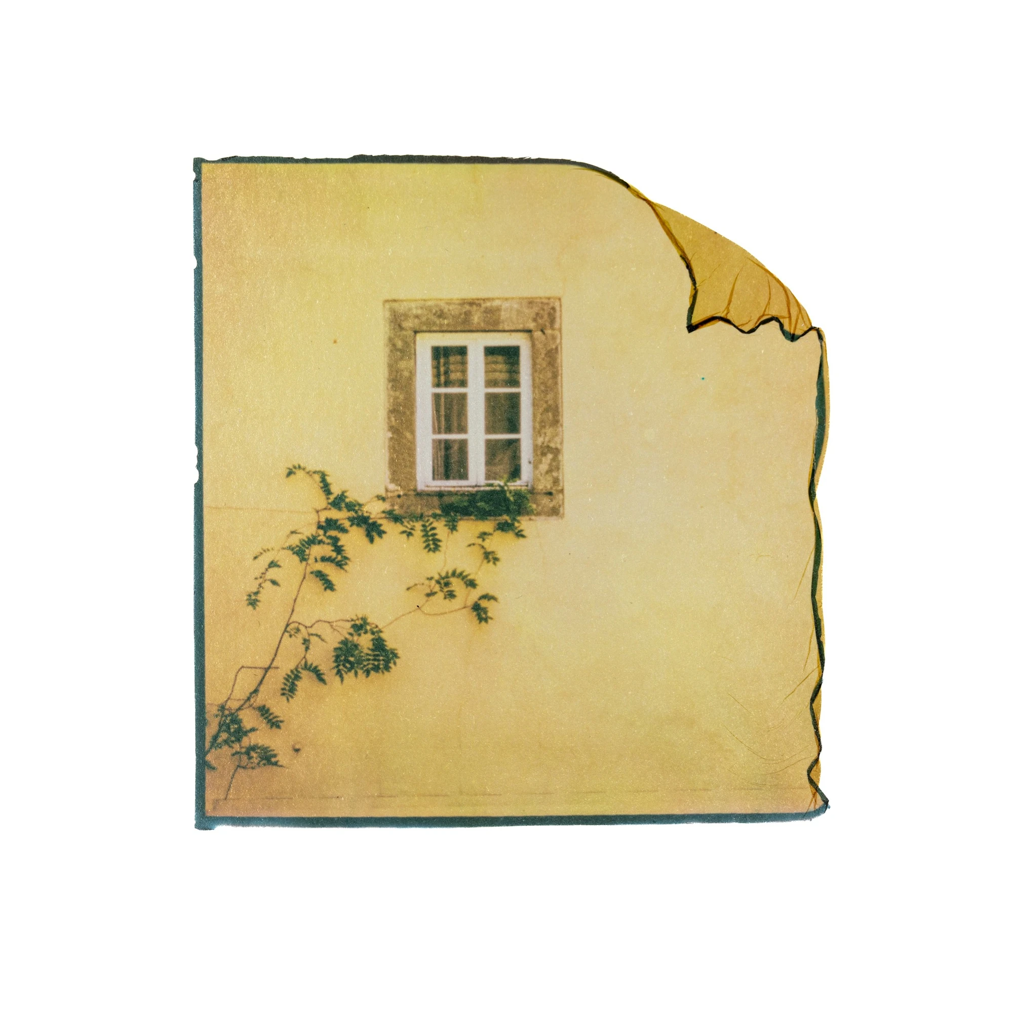 A window on a yellow wall in a photographic work by Eva Berler