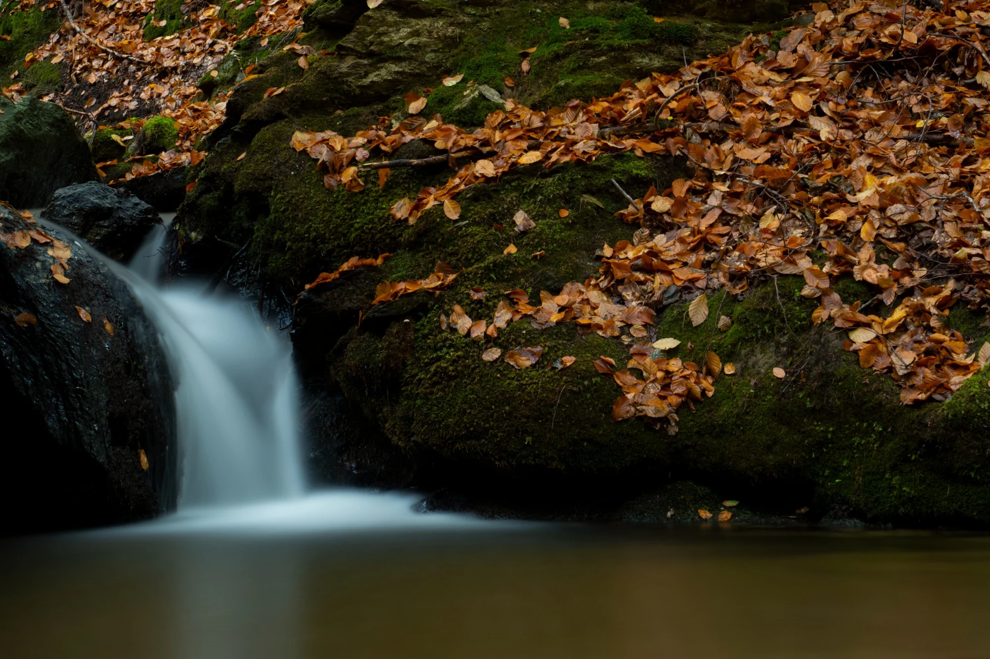 Small waterfall between rocks and autumn leaves