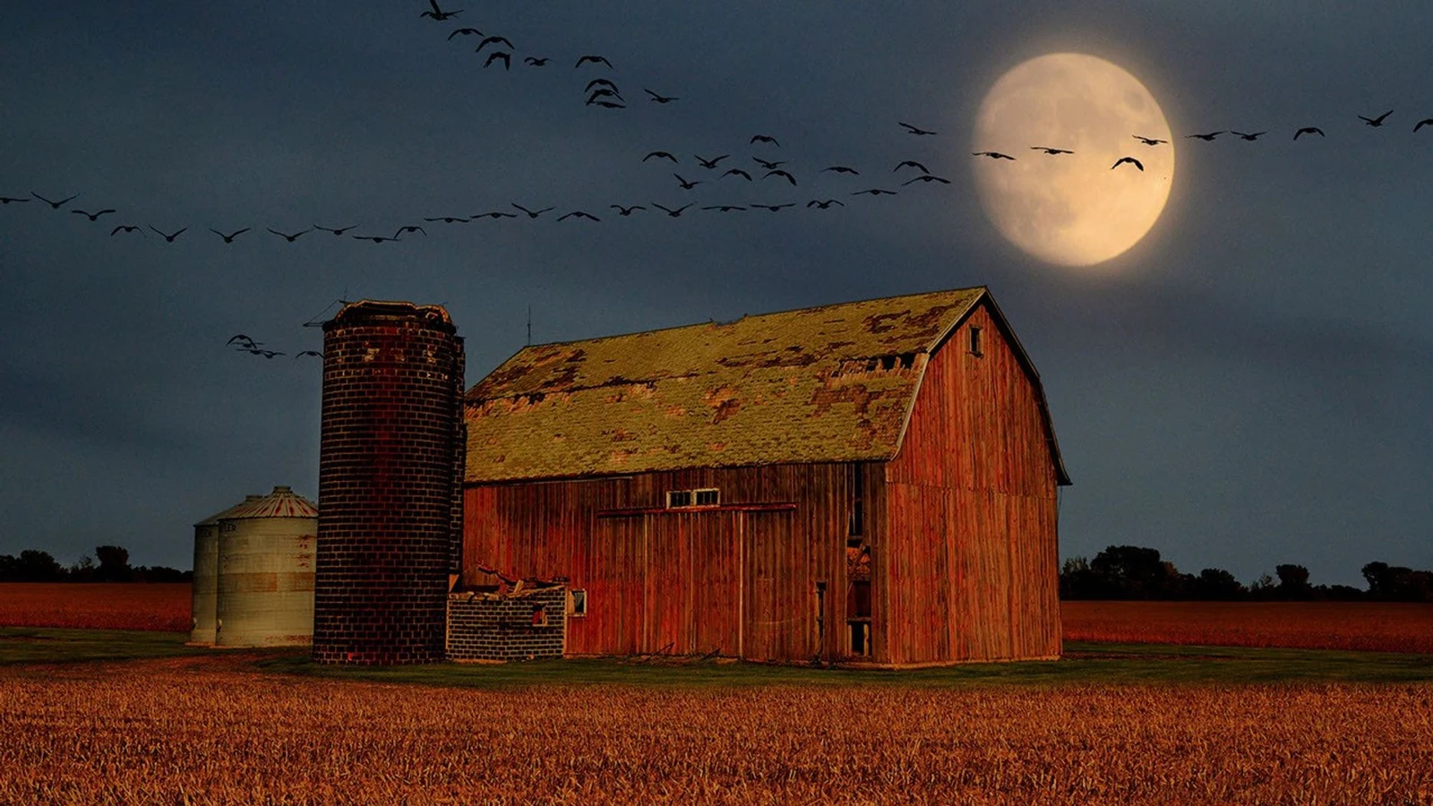 The Harvest Moon rising above a city skyline