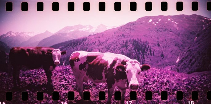 Sample Sprocket Rocket photograph with visible sprocket holes