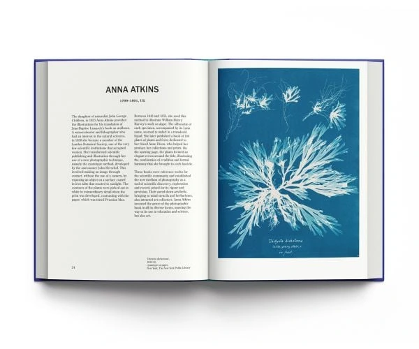 Ανοιχτό βιβλίο στη σελίδα της Anna Atkins με μπλε κυανοτυπία φυτού