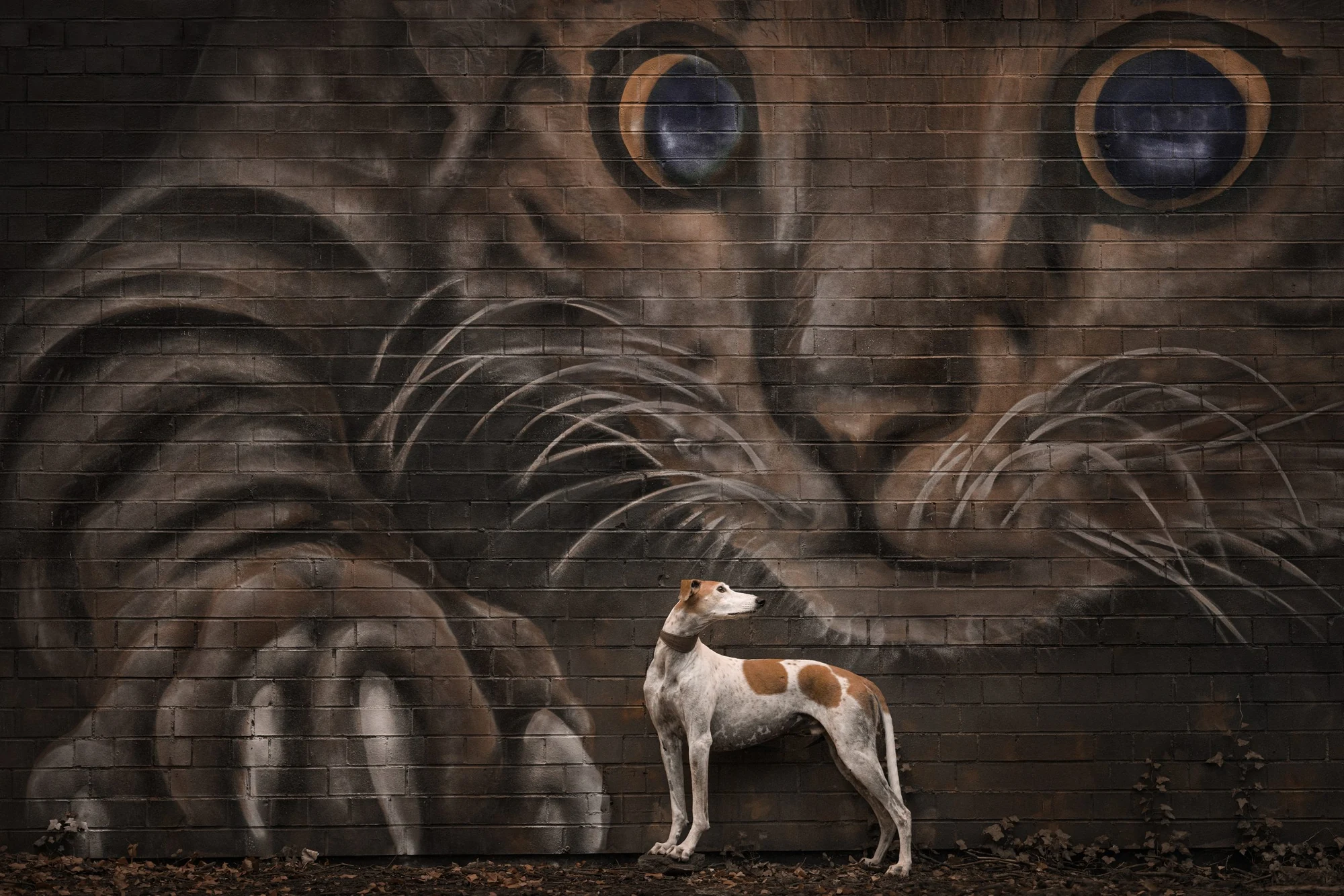 A dog in front of a large cat mural in Susan Lang’s The hunter becomes the hunted