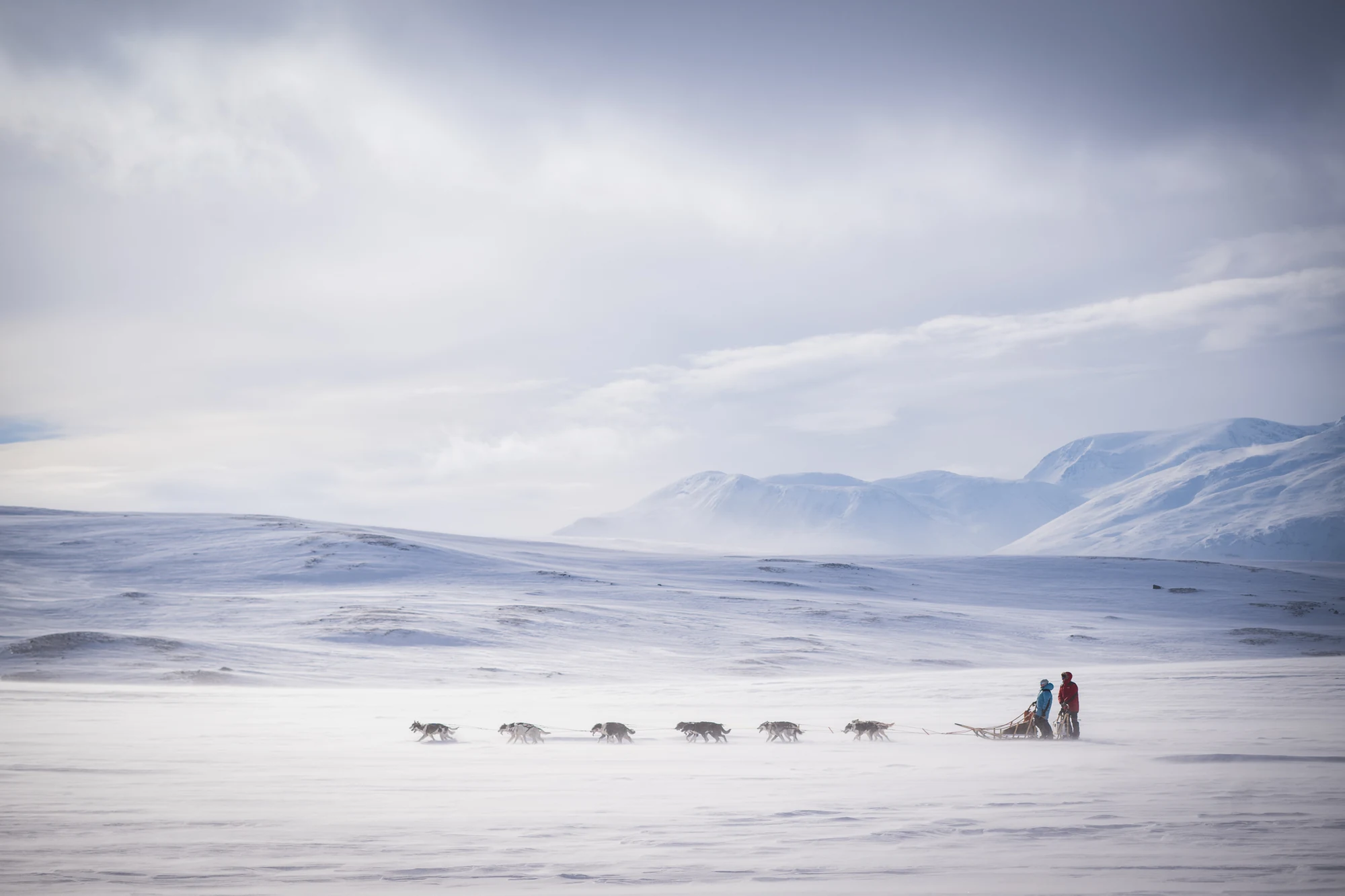 A sled-dog team crosses a snowy northern Norway landscape in Katie Gyltnes’ On top of the world