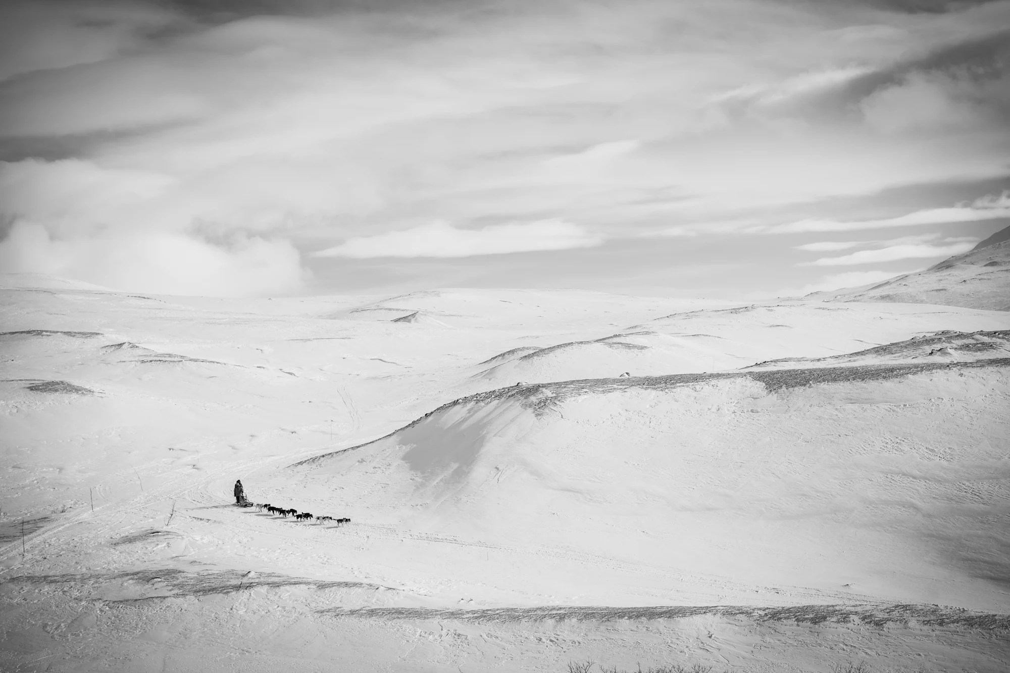 A small sled-dog team crosses a vast white landscape in Katie Gyltnes’ Alone together