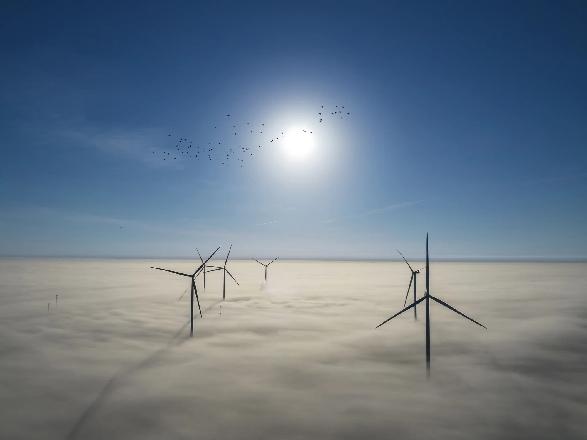 Above the Fog, μία από τις 13 φωτογραφίες του ημερολογίου WMO 2027