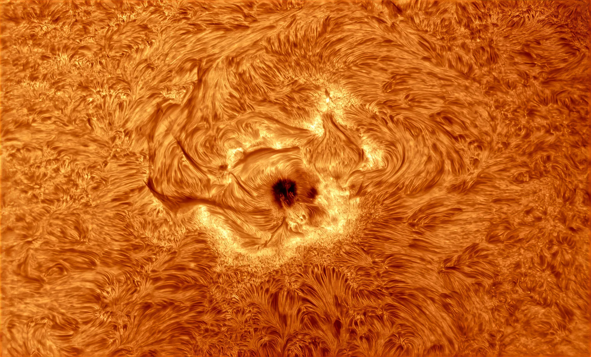 A sunspot with light bridges — Mark Johnston