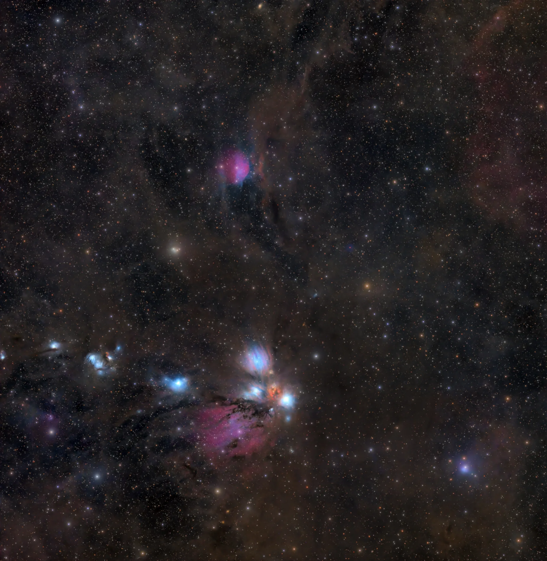 The Angel Nebula (NGC 2170) — Nathanael Martin