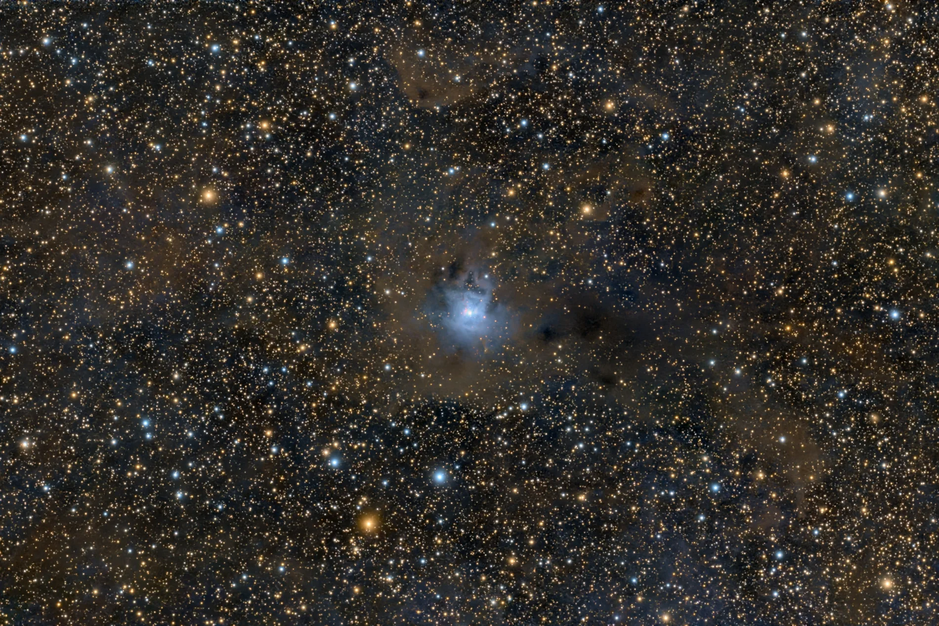 The Iris Nebula (NGC 7023) — Stephan Küppers