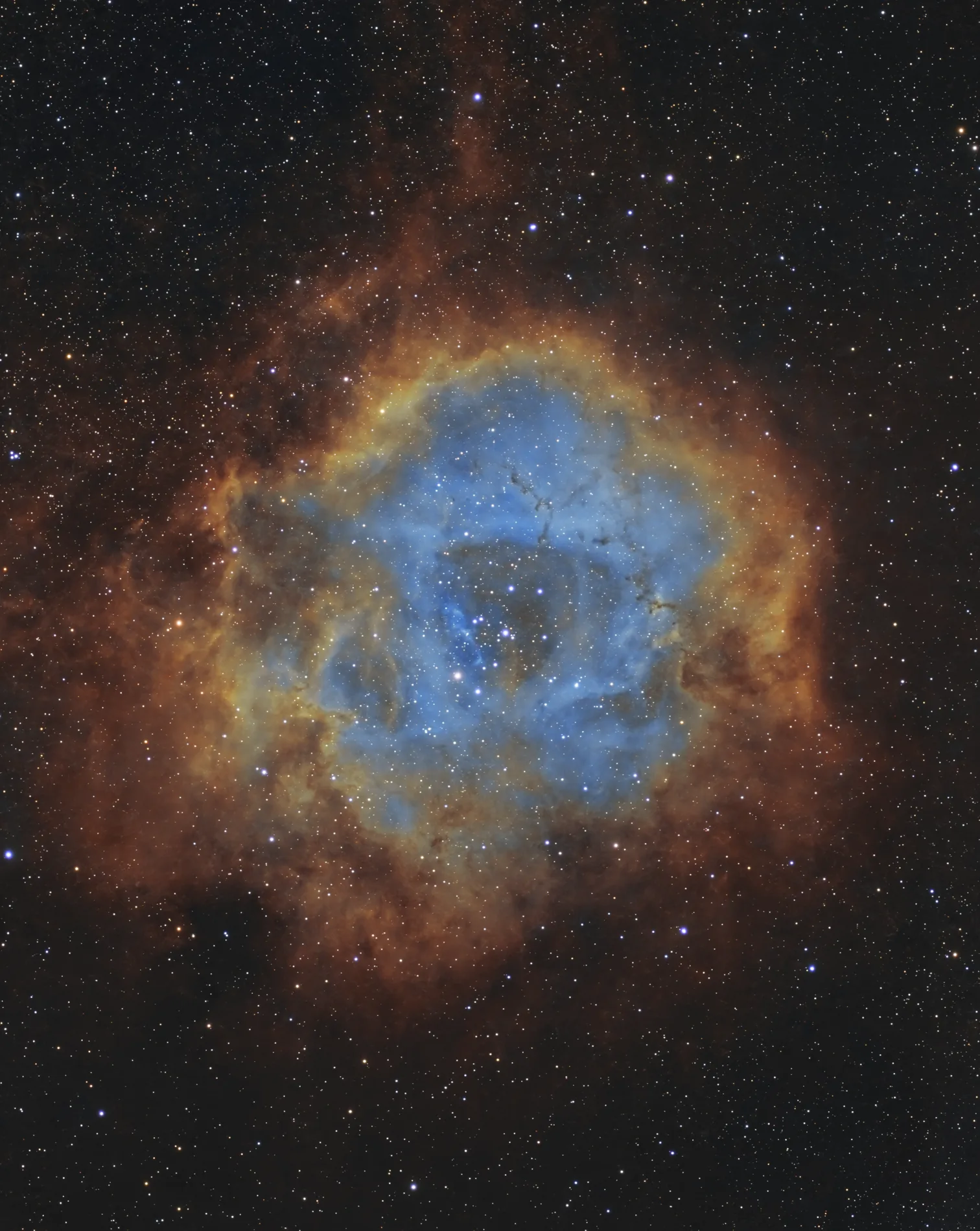 The Rosette Nebula — Sylvain Villet