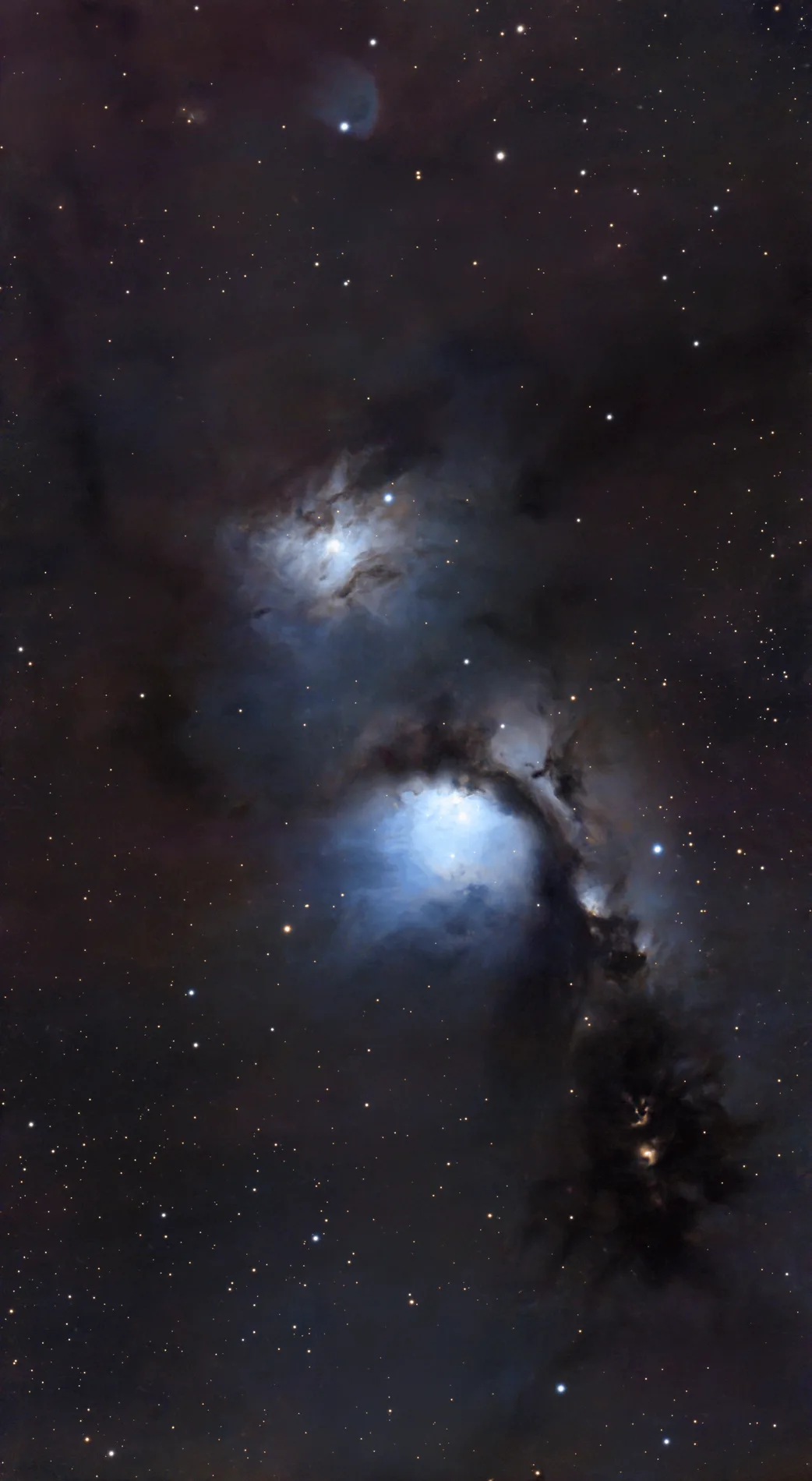 Reflection nebula M78 — Jason Marriott