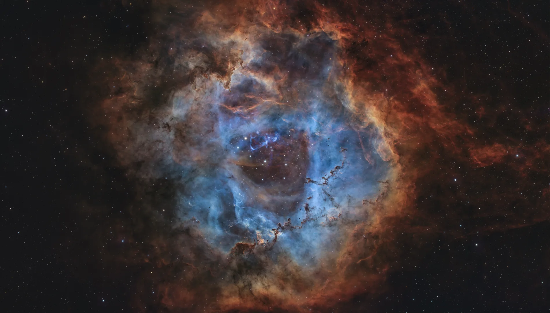 The Rosette Nebula by Andy Garrett — Andy Garrett