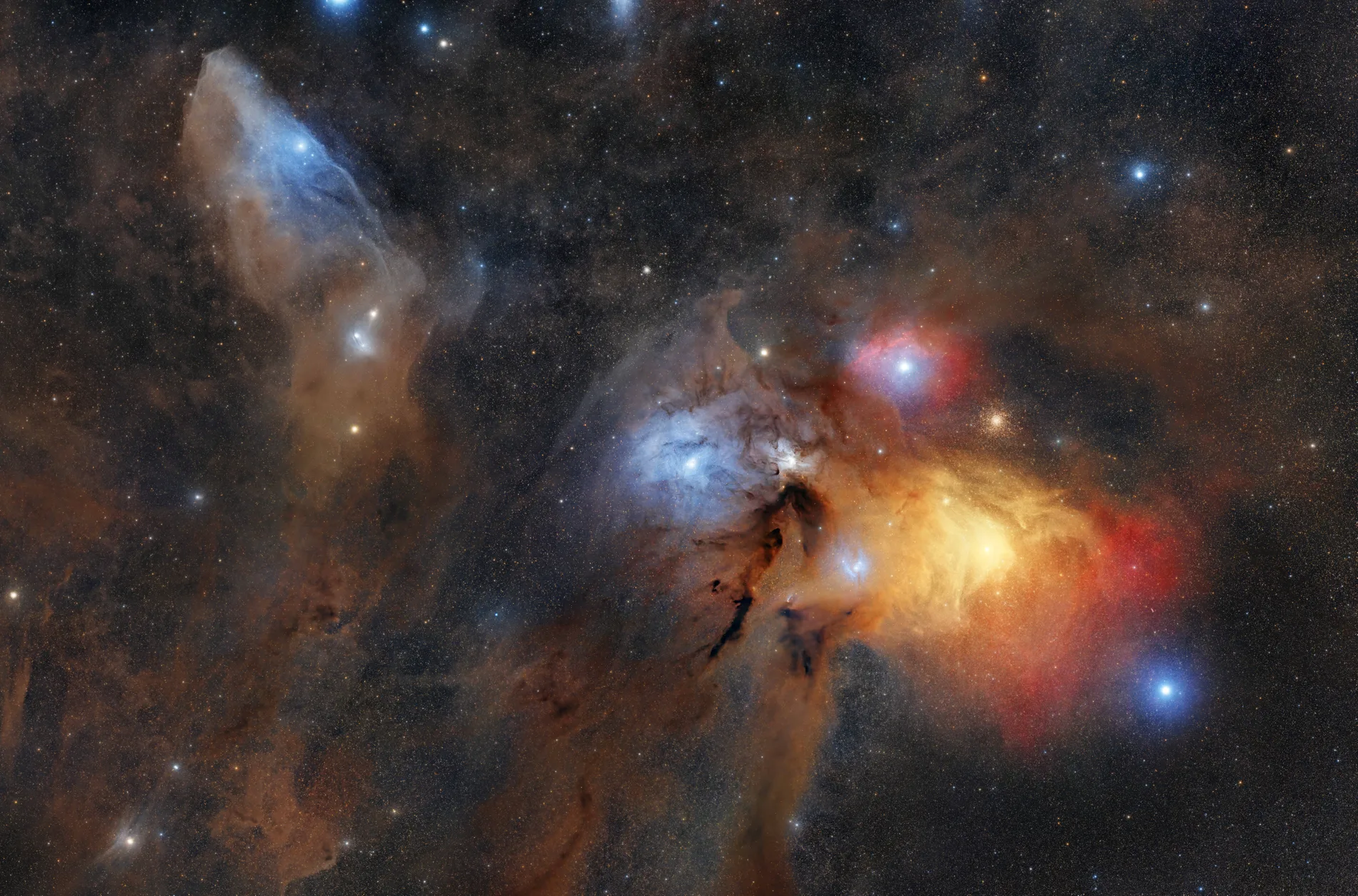 Rho Ophiuchi and the Blue Horsehead Nebula — Gavin Bent