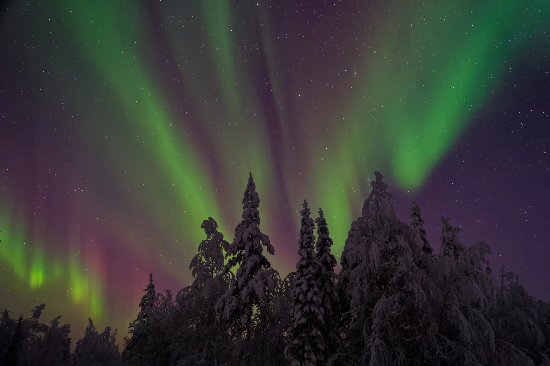 Aurora and the Andromeda Galaxy in Lapland — Joshua Benarroch